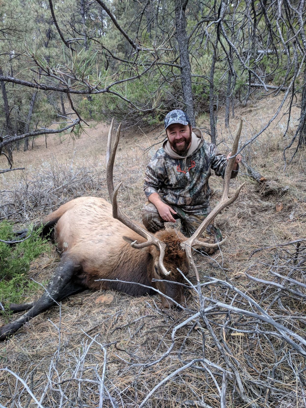 Hunting trophy